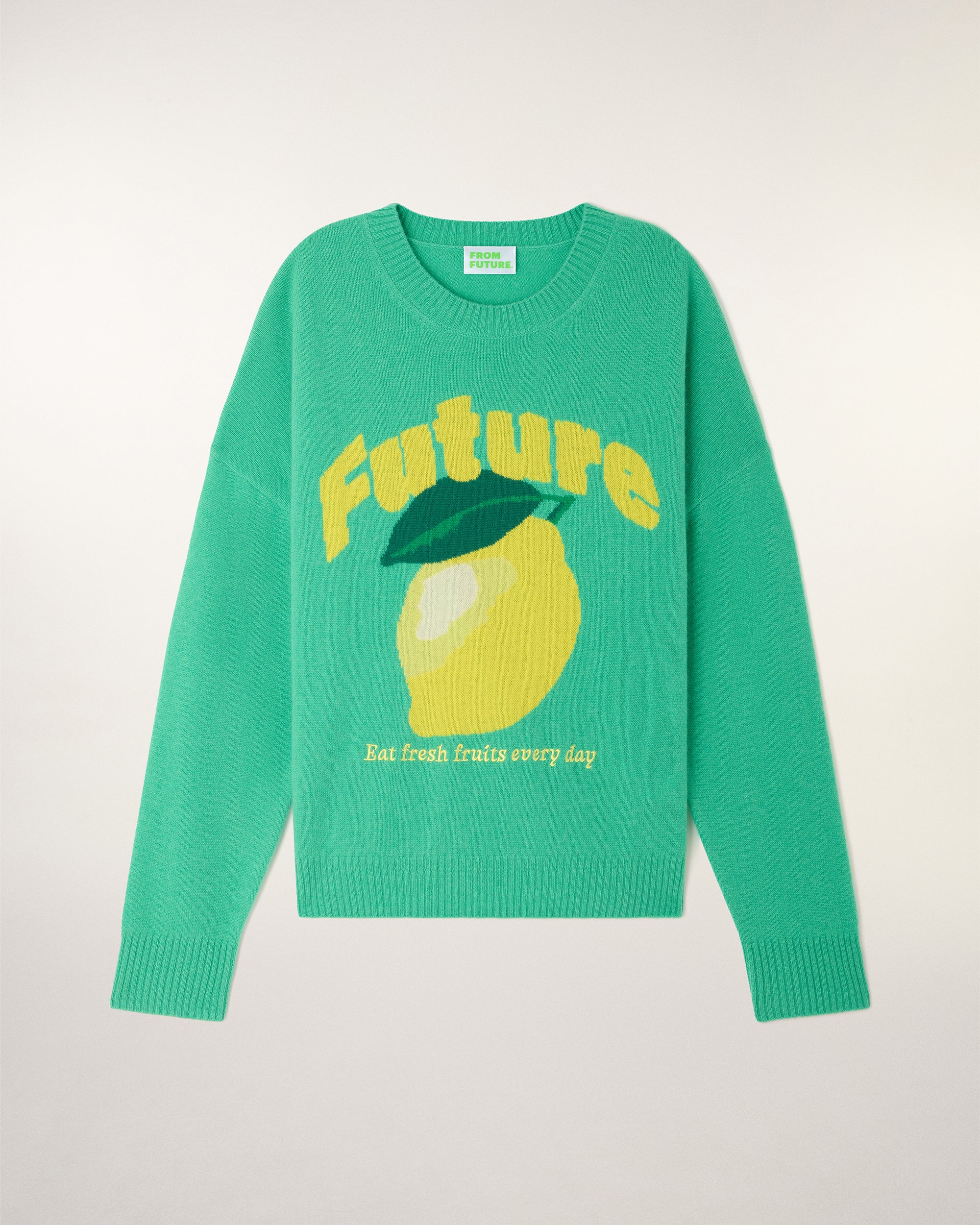 Future Intarsia Motif Crewneck Sweater (S26/ FEMME/ Garden Party Green) - Image 5