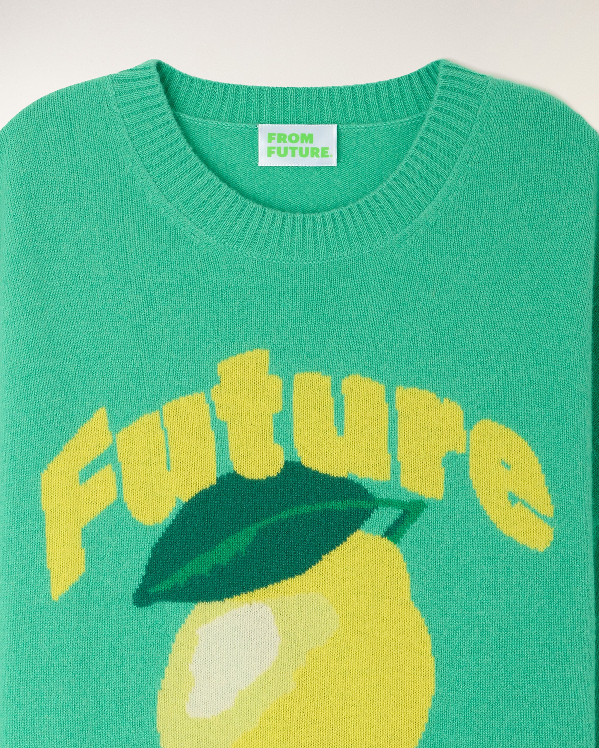Future Intarsia Motif Crewneck Sweater (S26/ FEMME/ Garden Party Green) - Image 6